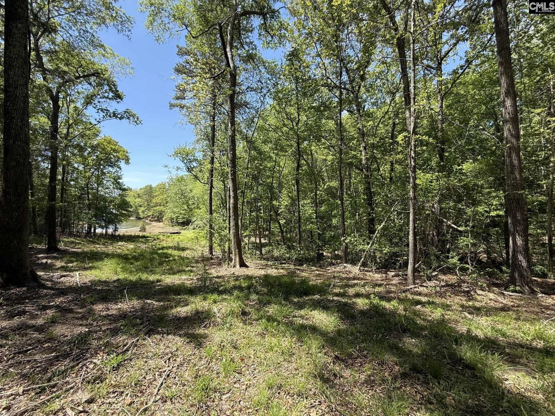 Concord Road  Photo 10