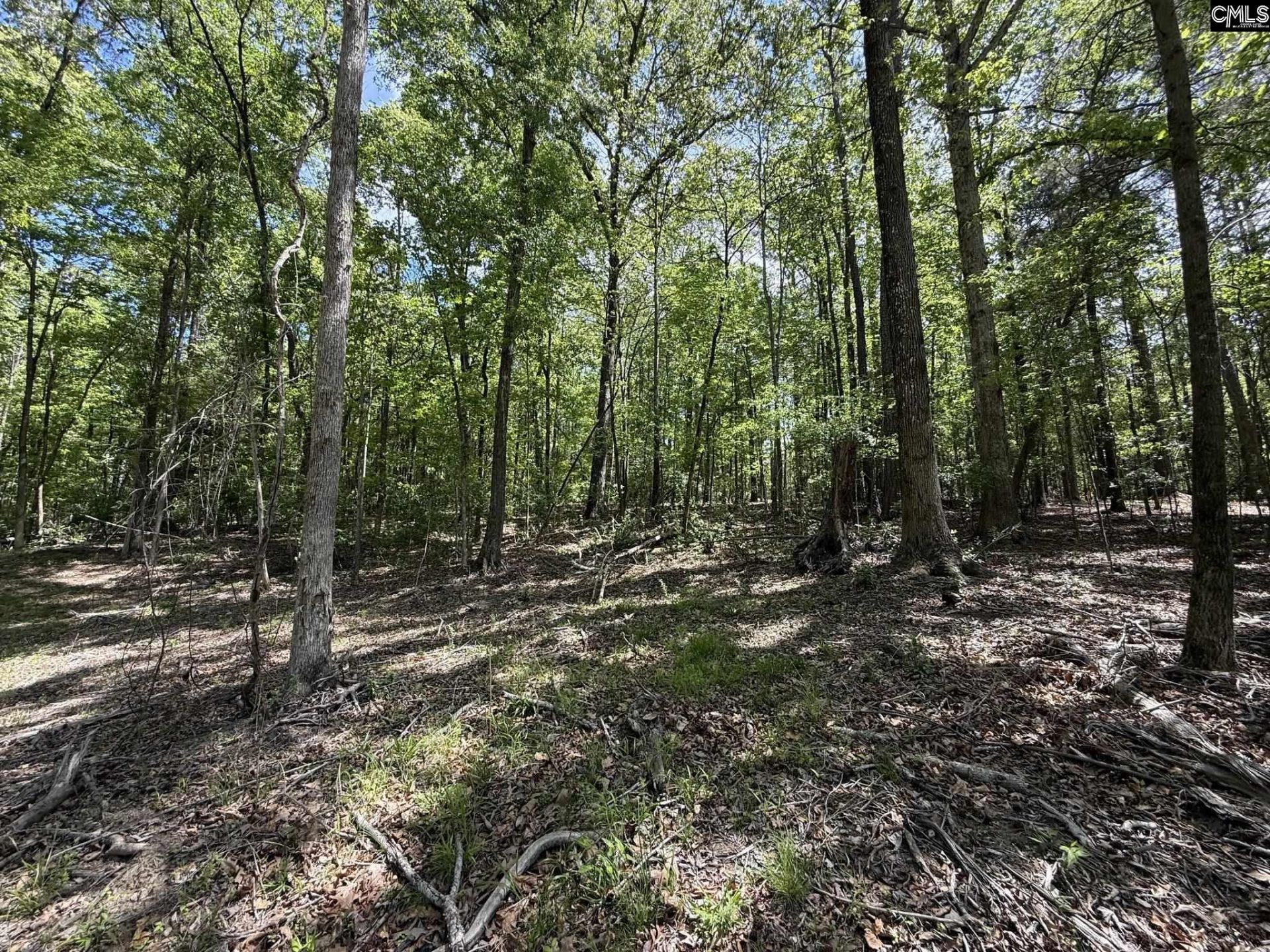 Concord Road  Photo 11