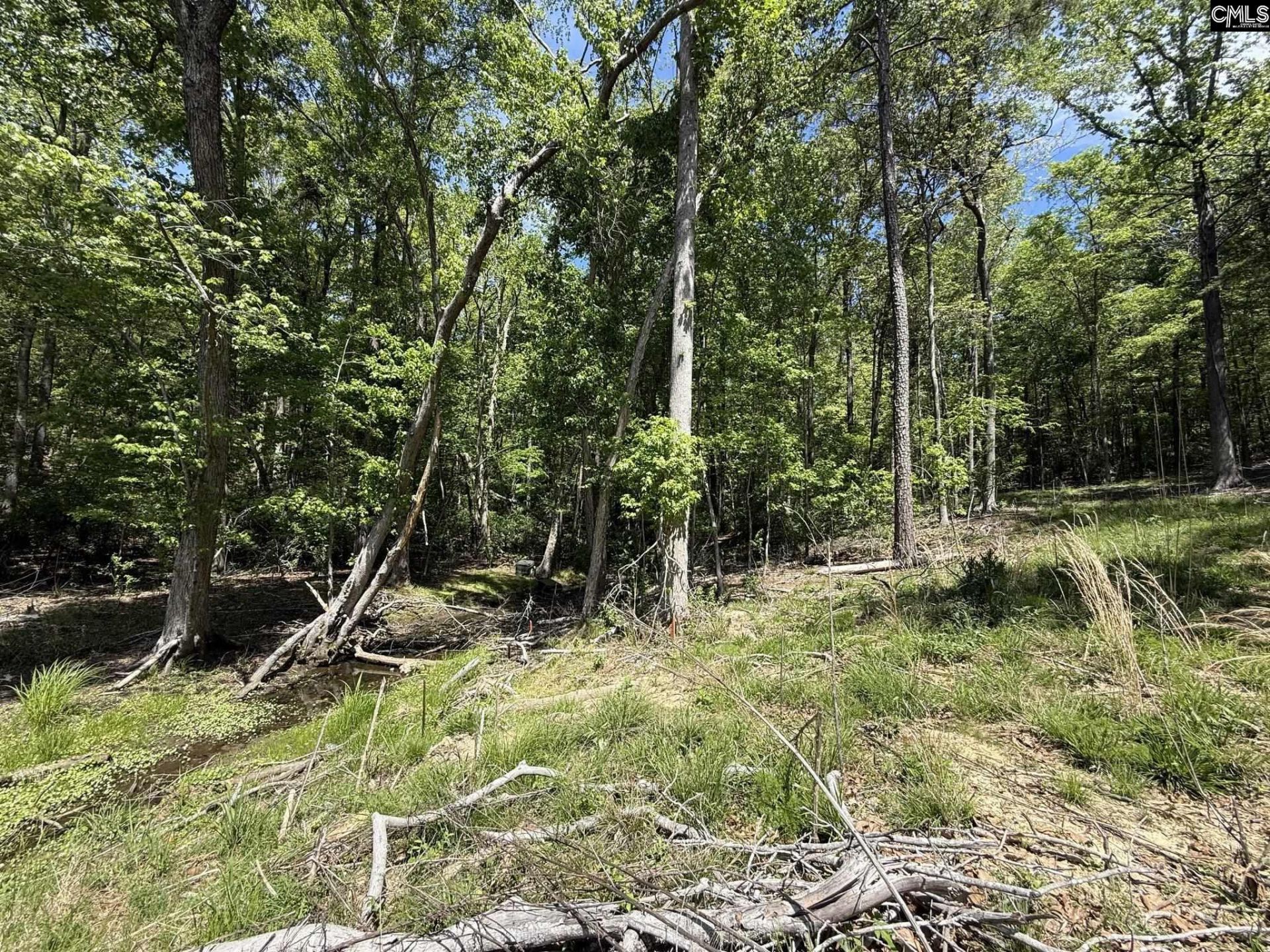 Concord Road  Photo 13