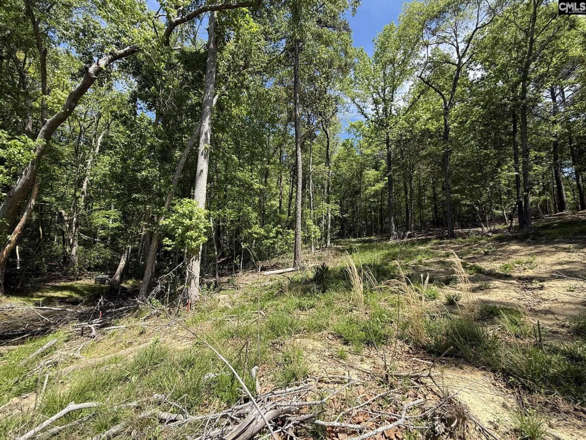 Concord Road  Photo 14