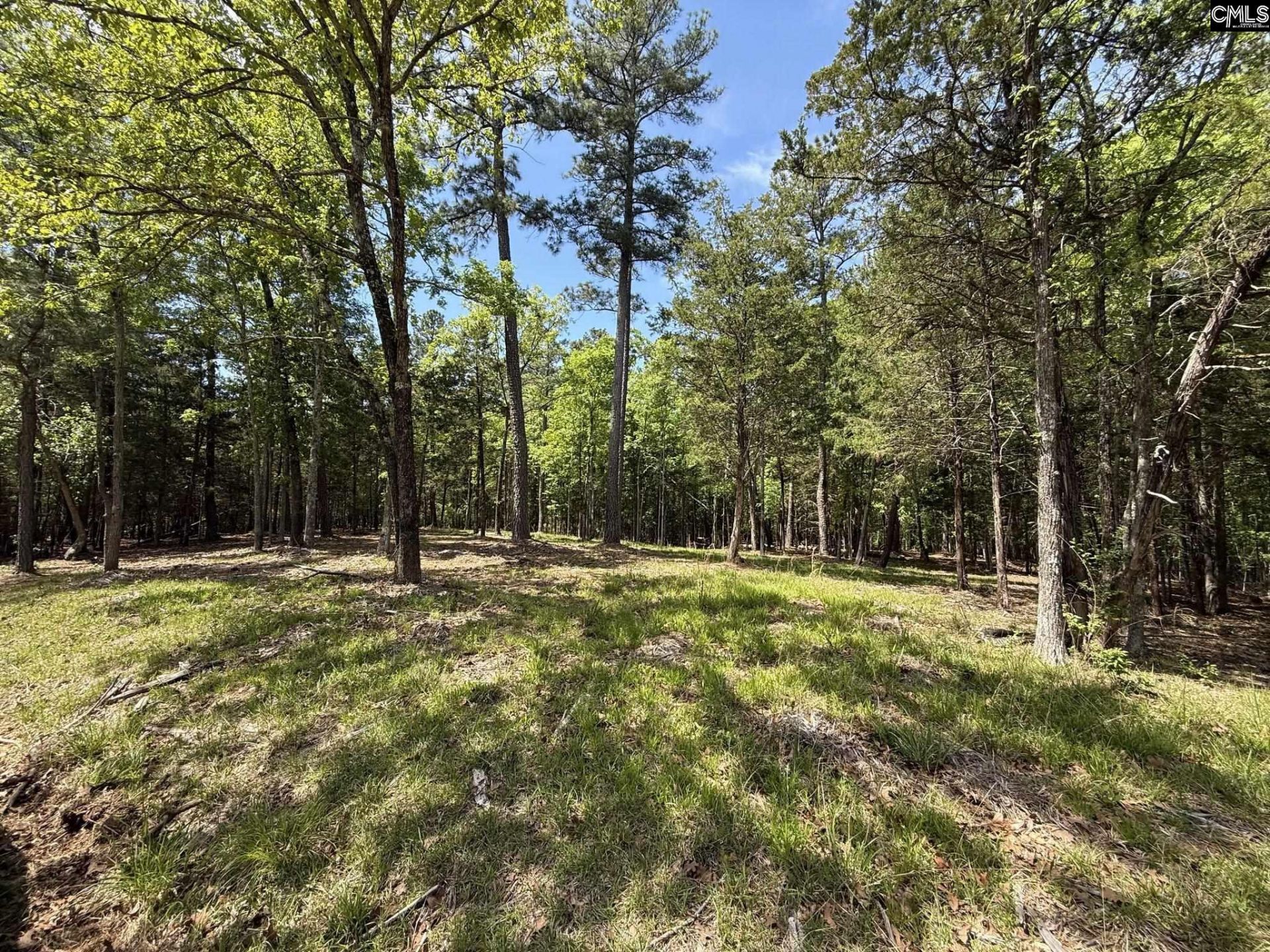 Concord Road  Photo 20