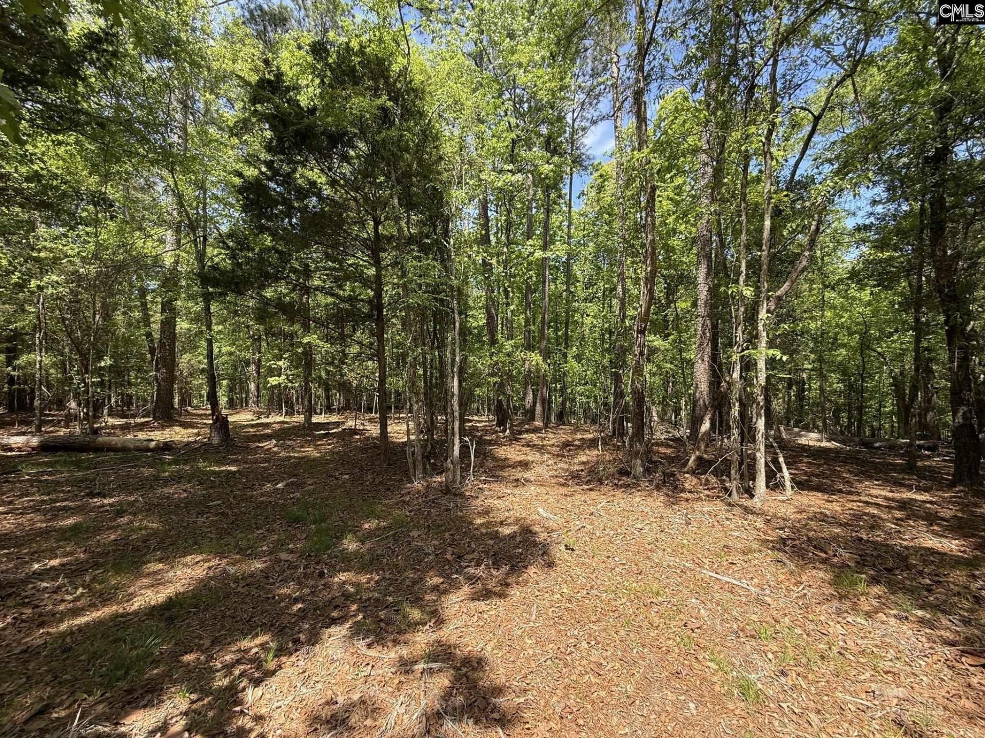 Concord Road  Photo 21