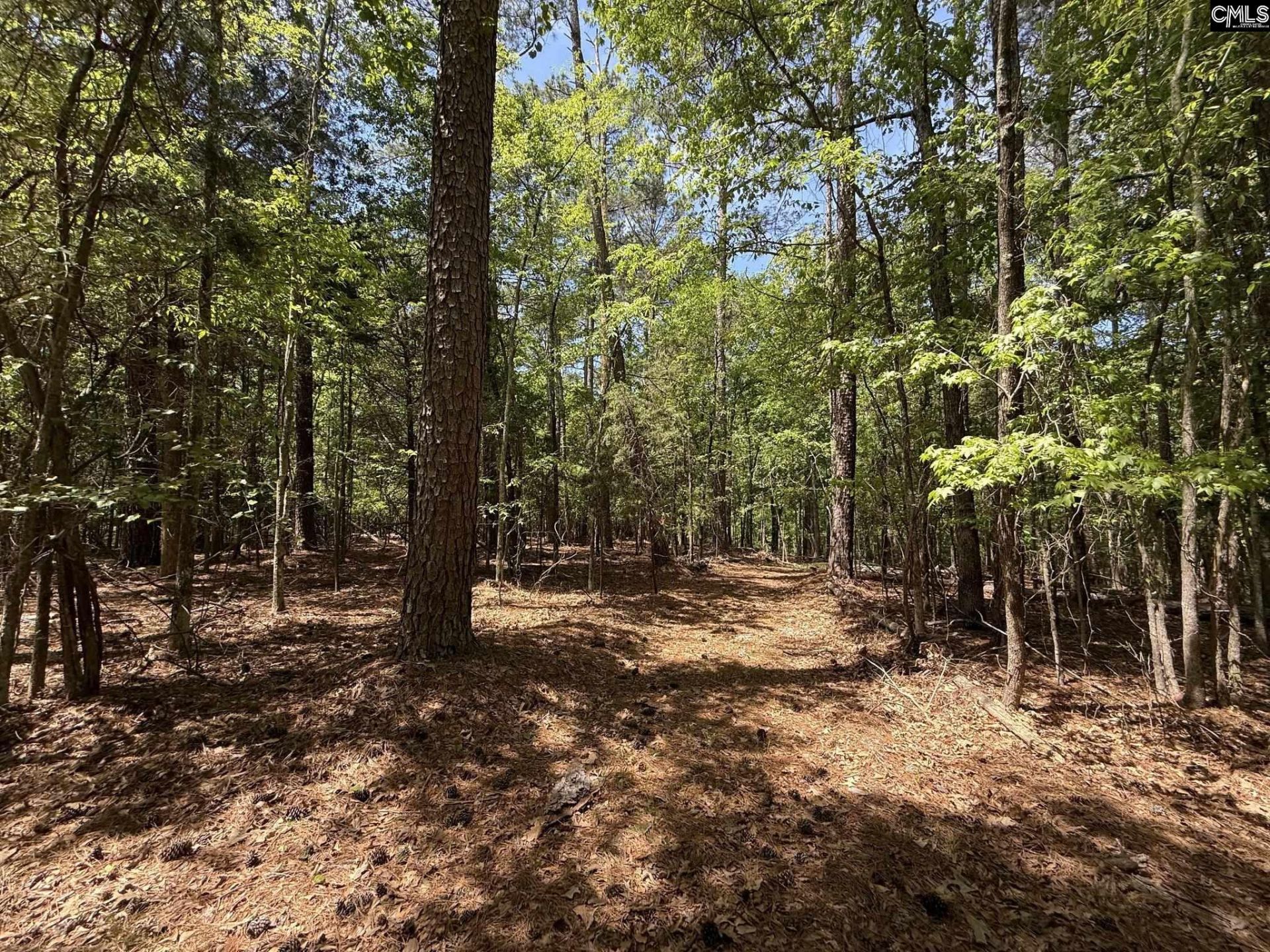 Concord Road  Photo 22