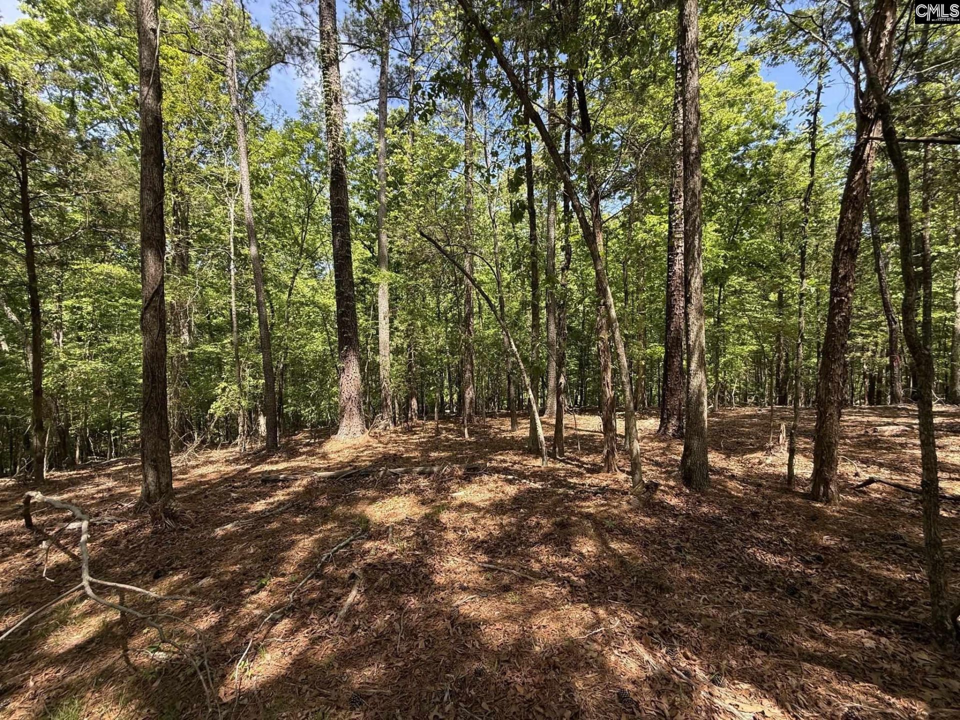 Concord Road  Photo 23