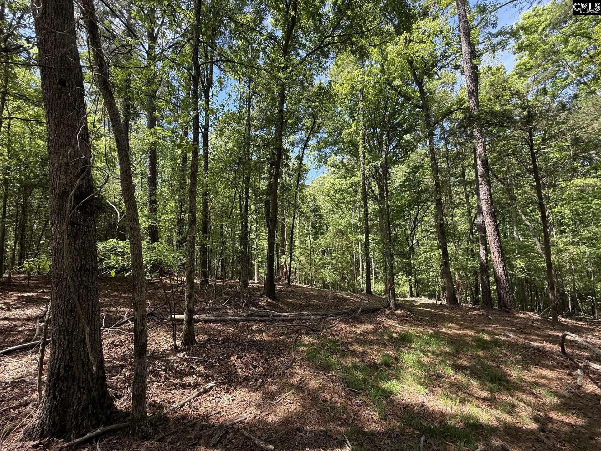 Concord Road  Photo 24