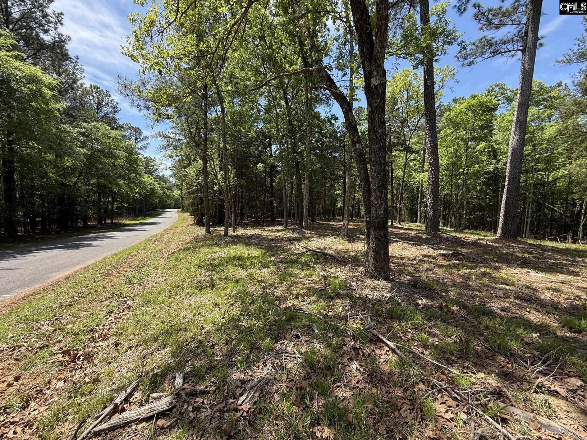 Concord Road  Photo 25