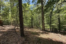 Concord Road  photo 4