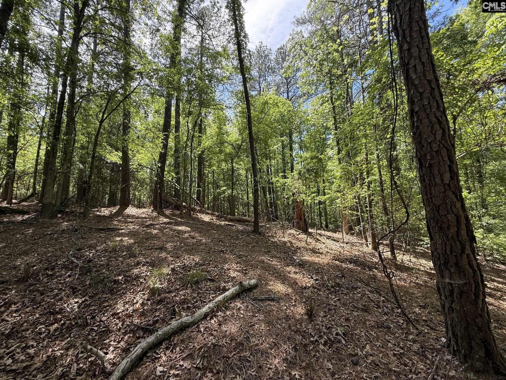 Concord Road  Photo 4