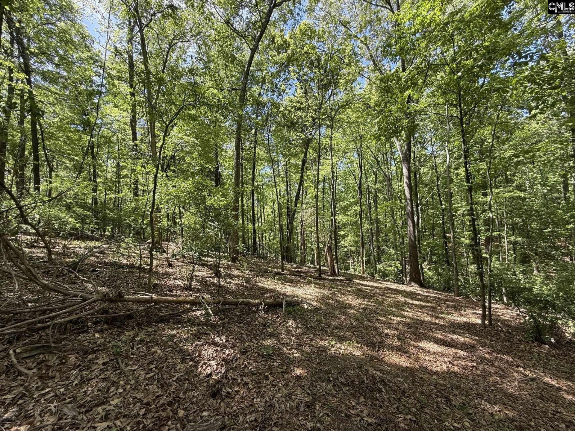 Concord Road  Photo 5