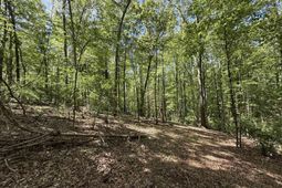 Concord Road  photo 4