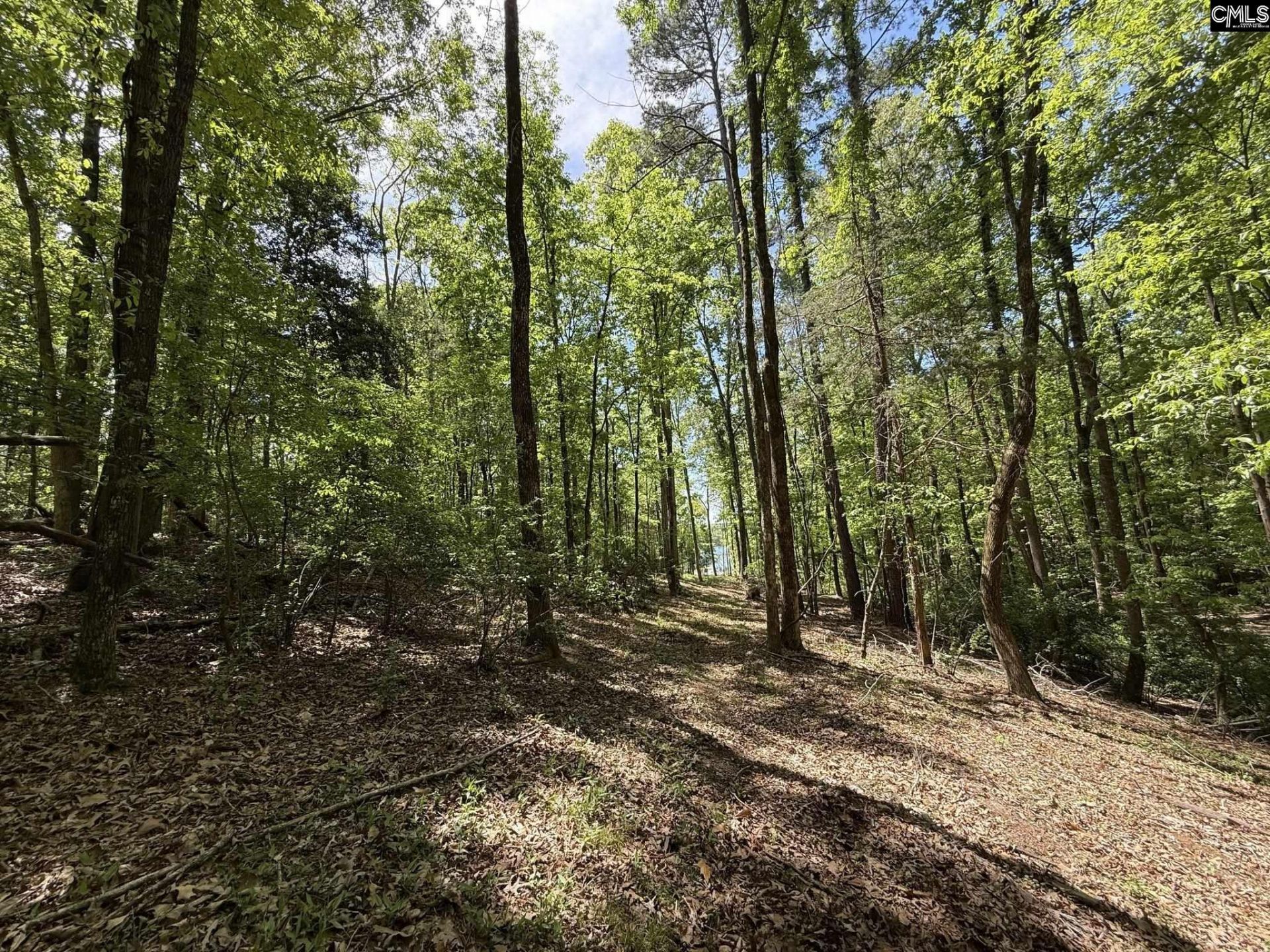 Concord Road  Photo 6