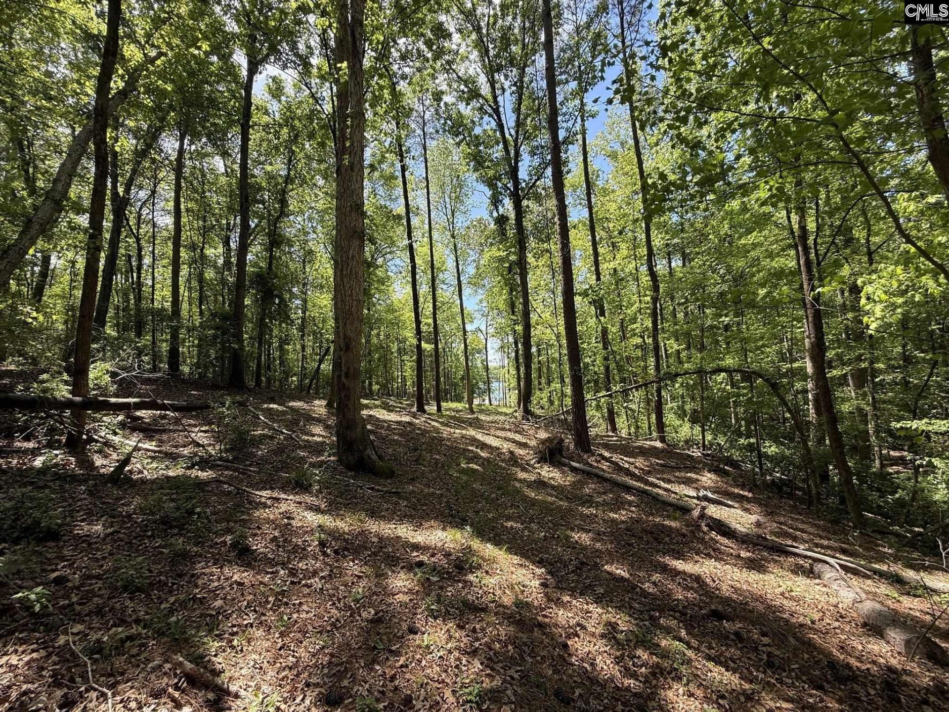 Concord Road  Photo 7