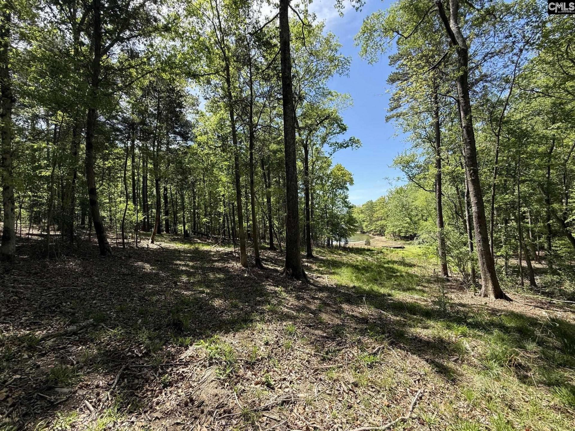 Concord Road  Photo 9