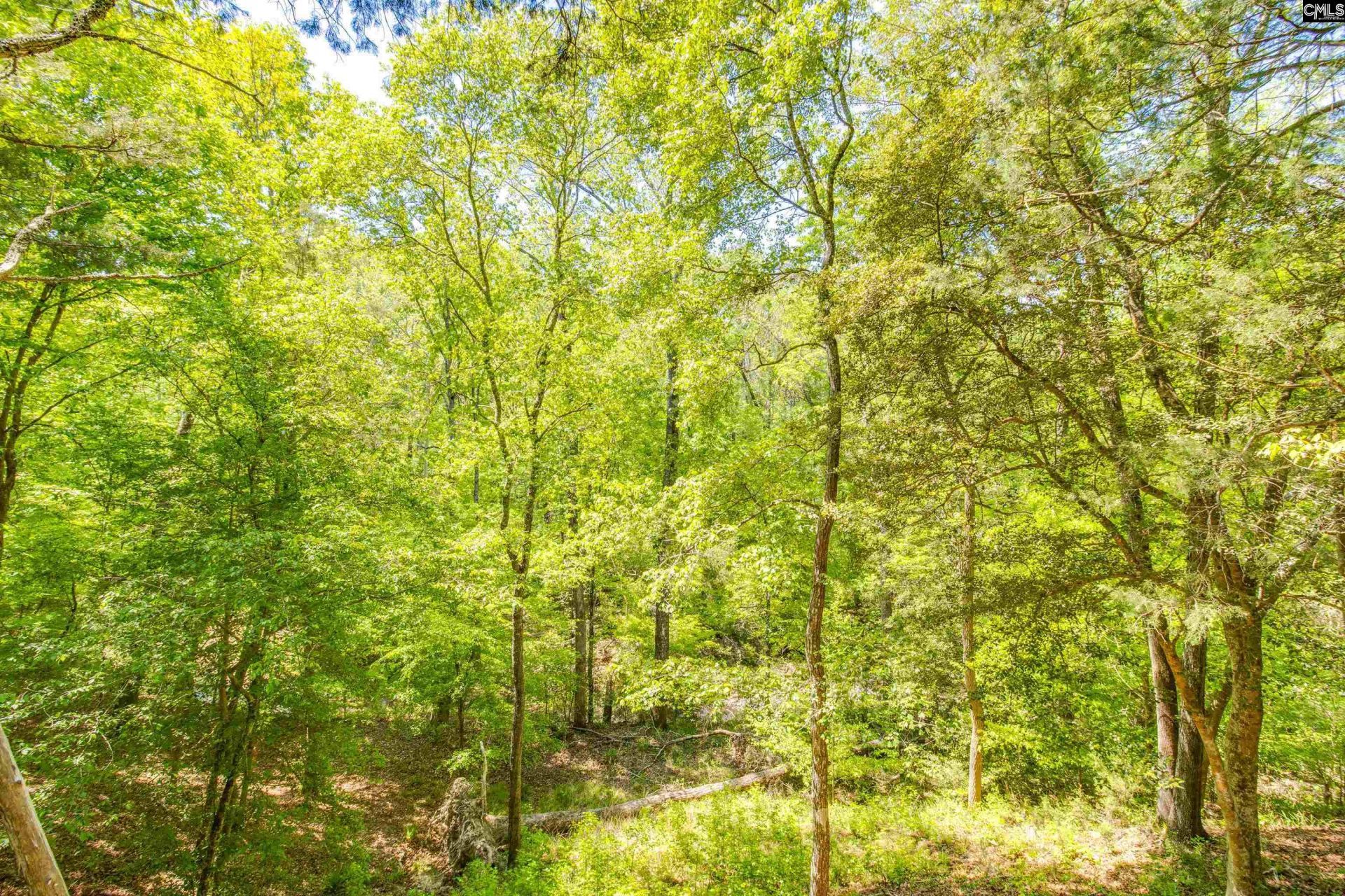 1030 Blume Road  Photo 44