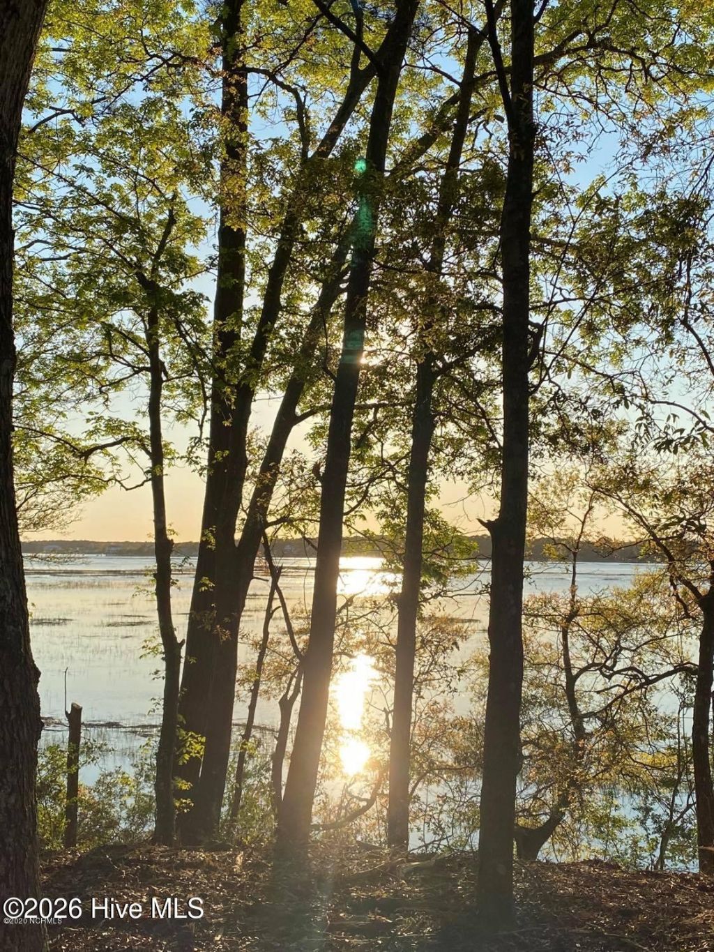 1955 Russell Hewett Road Sw, Supply, NC 28462 Main Photo