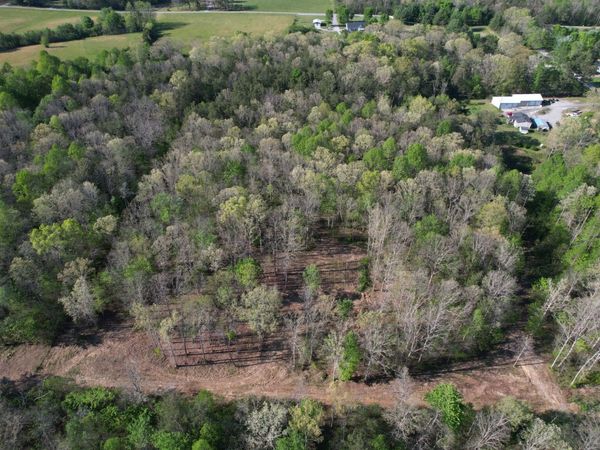 7 Fletcher Pickett Rd, Gruetli Laager, TN 37339