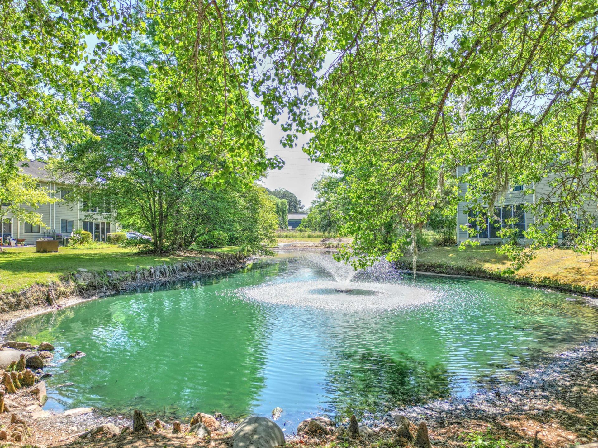 2314 Treescape Drive Photo 50