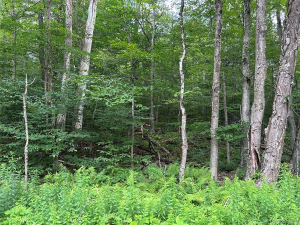 FRrost Valley rd , Claryville, NY 12725