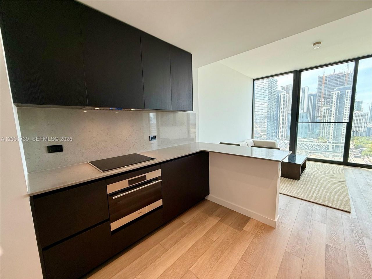 20 NE 11th St , Unit 2809, Miami, FL 33132 Photo