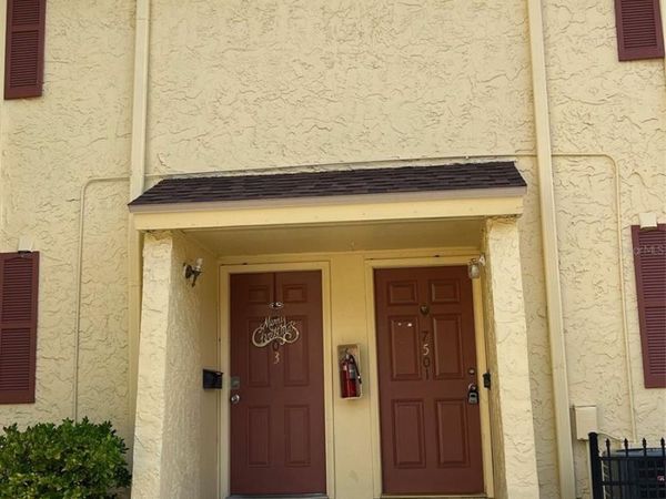 7501 GALLINETA COURT , TAMPA, FL 33615