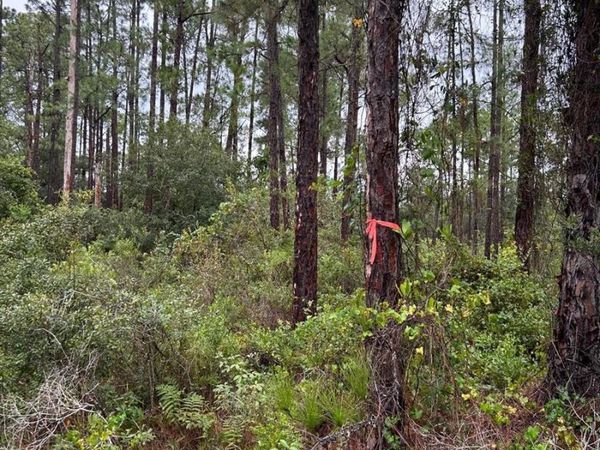 3215 66TH STREET W, LEHIGH ACRES, FL 33971