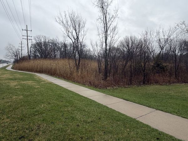 1201 Leinster Drive , Lemont, IL 60439