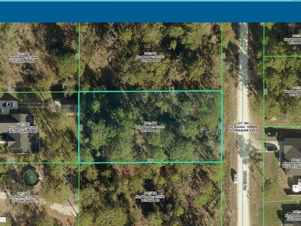 16255 CRANE ROAD , WEEKI WACHEE, FL 34614