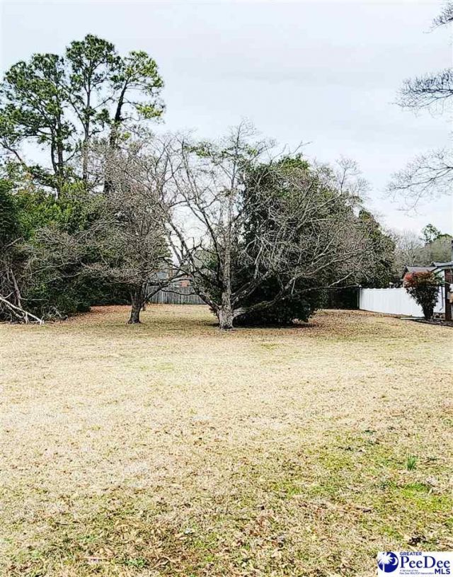 1321 E Washington Street Photo 6