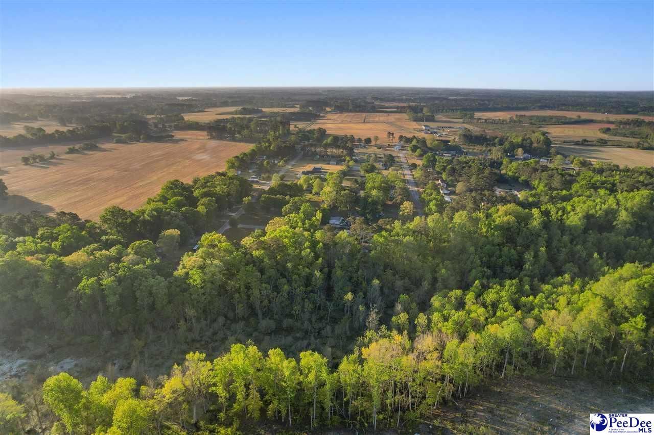 Lot 29 Bronco Road Photo 10