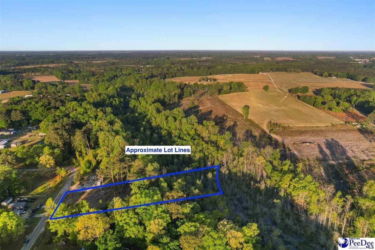 Lot 29 Bronco Road Photo 11