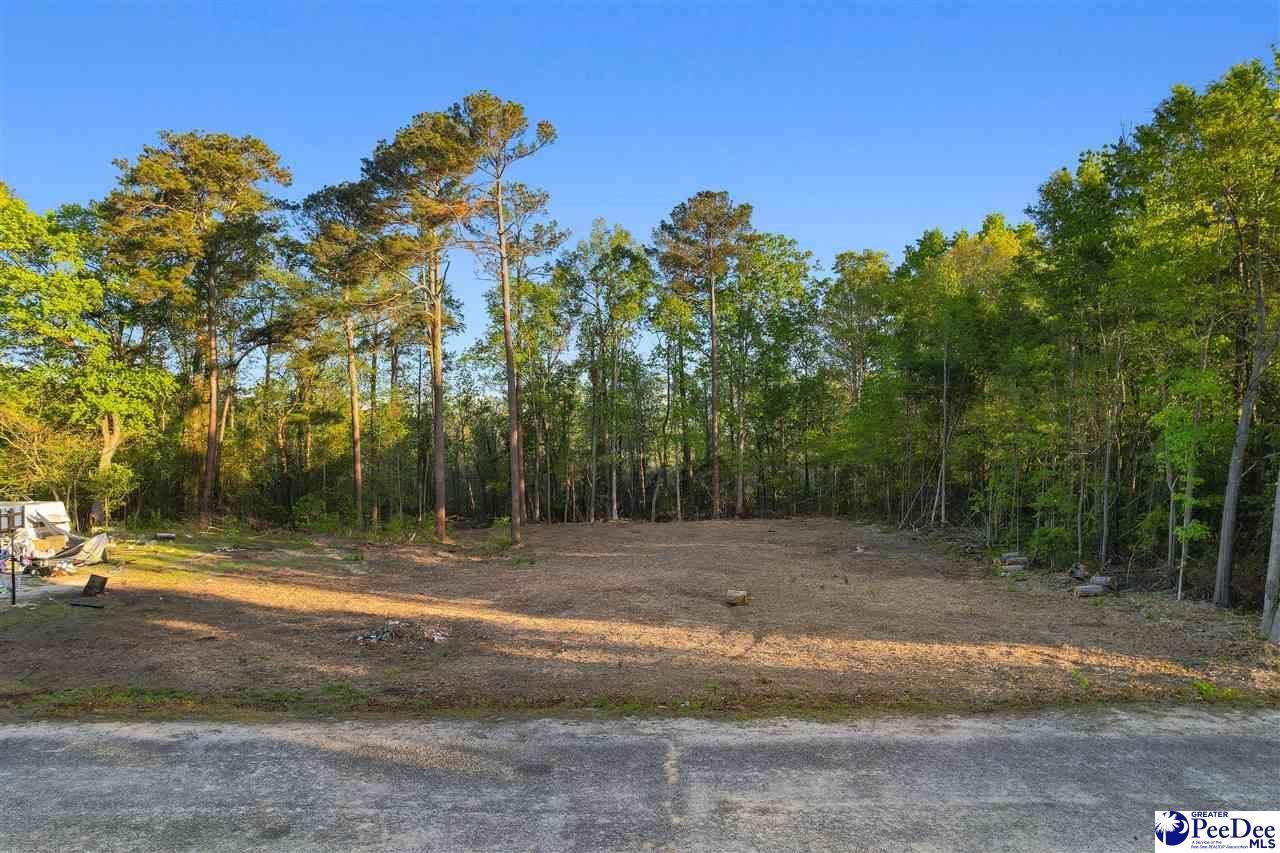 Lot 29 Bronco Road Photo 13