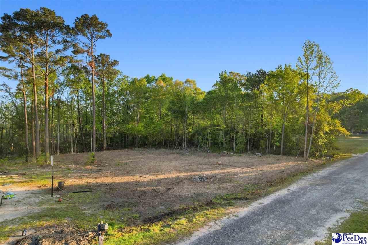 Lot 29 Bronco Road Photo 14