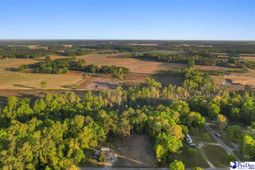 Lot 29 Bronco Road photo 4