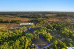 Lot 29 Bronco Road photo 4