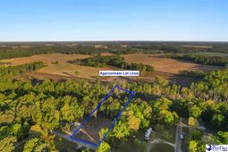 Lot 29 Bronco Road photo 4