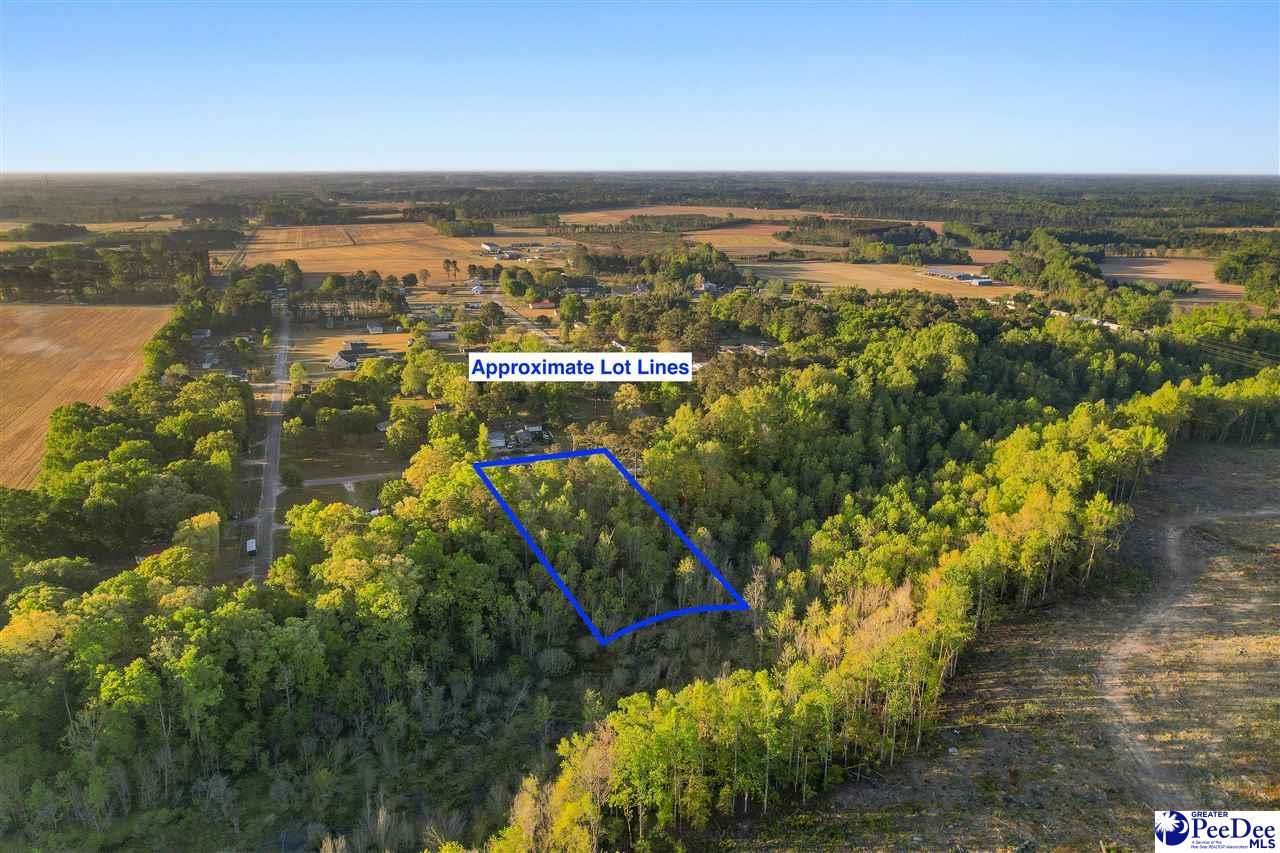 Lot 29 Bronco Road Photo 7