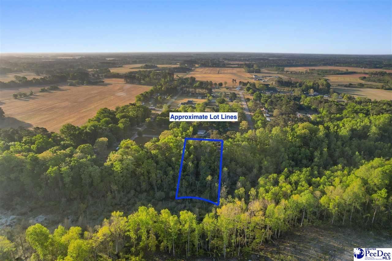 Lot 29 Bronco Road Photo 9