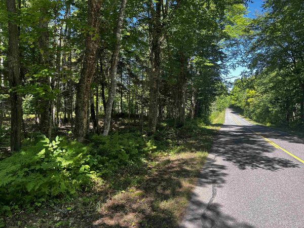 40 Acres Dukes Road, Skandia Twp, MI 49885
