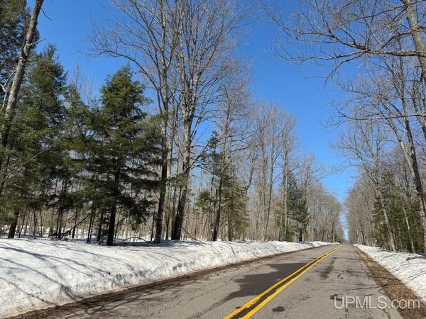 40 Acres Dukes Road, Skandia Twp, MI 49885