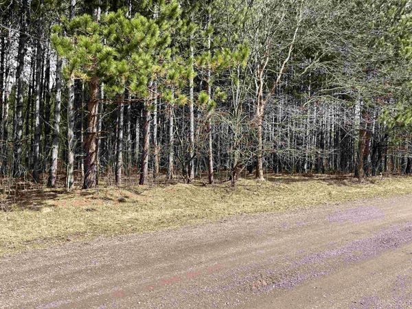TBD Tikka Road, Ontonagon Twp, MI 49953
