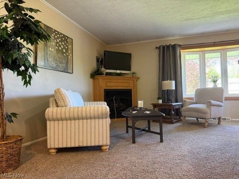 7044 Teal Cove, Concord Township, OH 44077 Photo 5