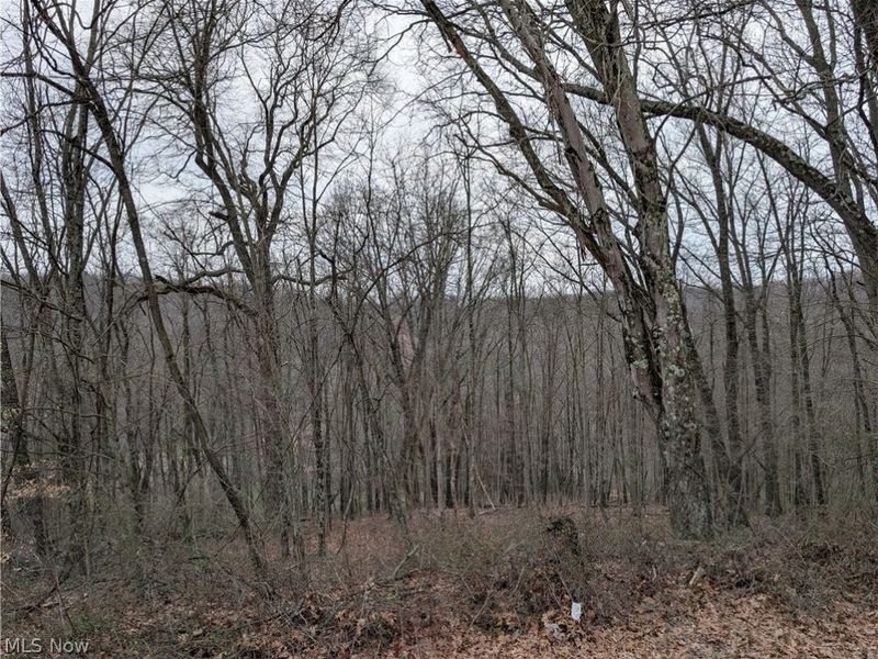 66323 Lake Road , Cambridge, OH 43725 Photo 40