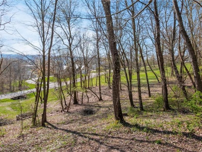 321 Sequoia Drive, Byesville, OH 43723 Photo 42