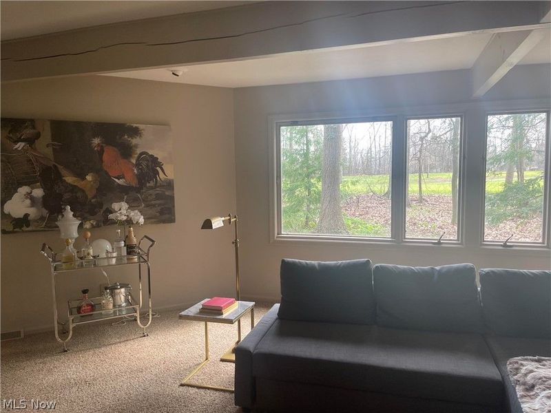 17571 Merry Oaks Trail, Chagrin Falls, OH 44023 Photo 10