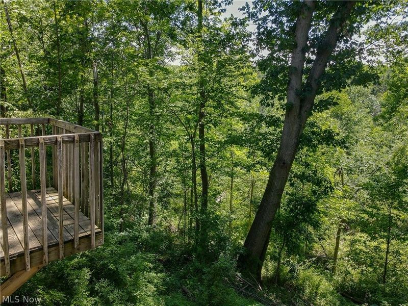 7981 Kinsman Road , Novelty, OH 44072 Photo 41