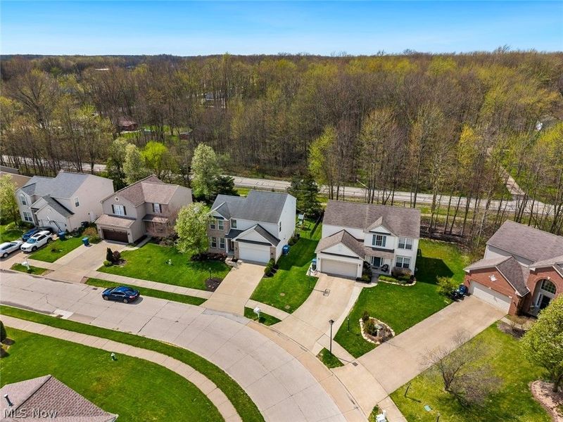 9660 Sunray Dr Drive, Olmsted Township, OH 44138 Photo 3