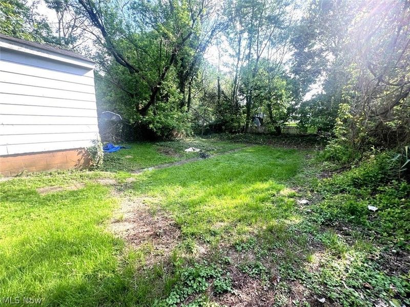 238 Para Avenue, Akron, OH 44305 Photo 22