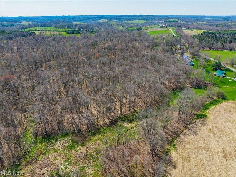 9050 Freeman Road, Lisbon, OH 44432 Photo 45