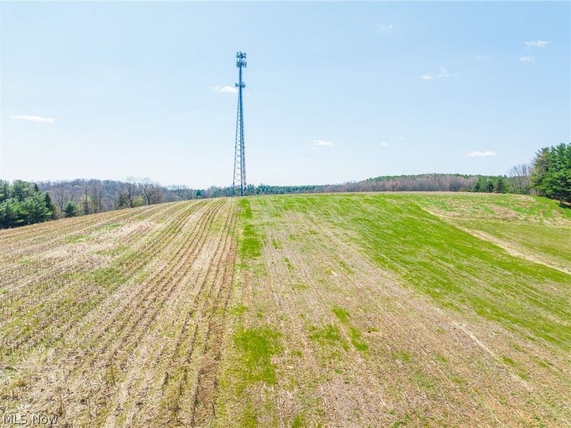 9050 Freeman Road, Lisbon, OH 44432 Photo 49