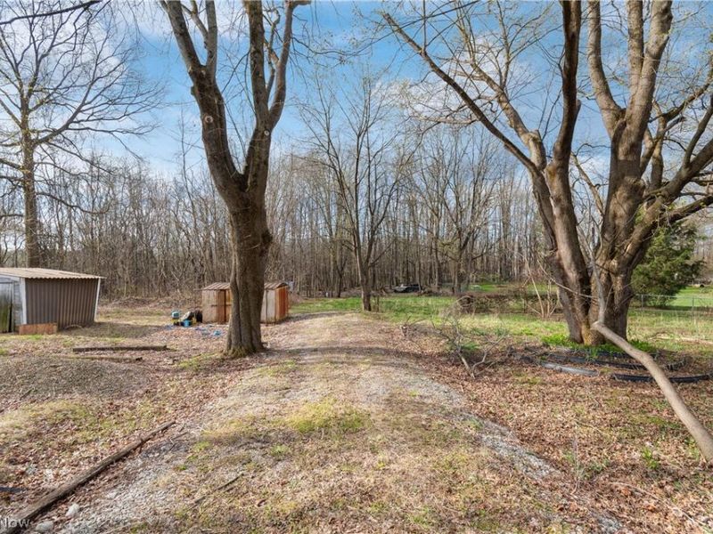 1664 Woods Road , Akron, OH 44306 Photo 9